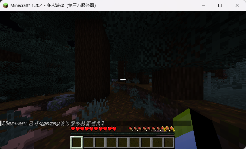  tailscale minecraft qgmzmy s blog
